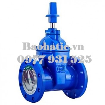 Van cổng ty chìm chôn ngầm